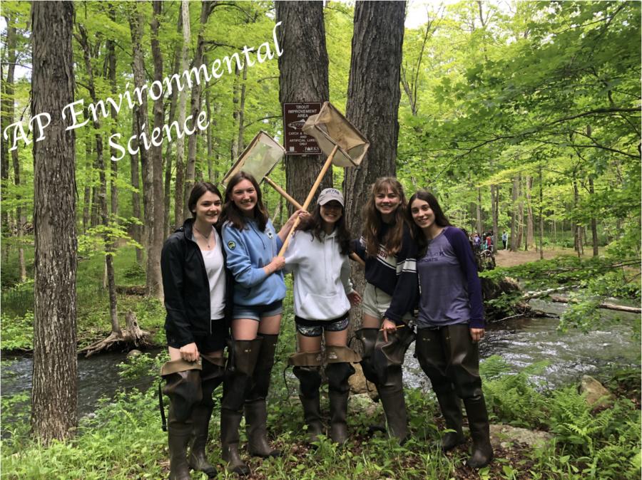 A Walk in Nature with AP Environmental Science